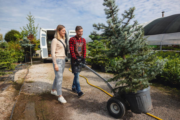 Reliable Choudrant, LA Tree Removal Solutions